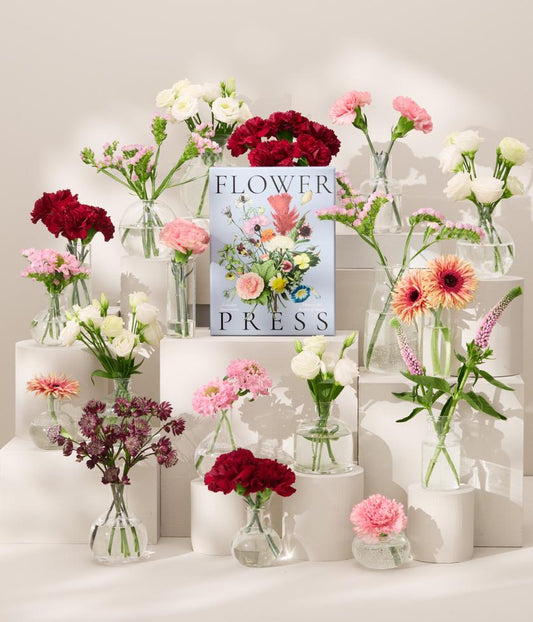 Blumenpressen Kit